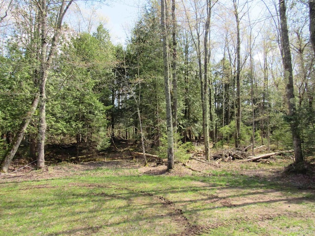 PARCEL10 Vicks Rd, Lanse, MI 49946