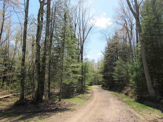 PARCEL10 Vicks Rd, Lanse, MI 49946