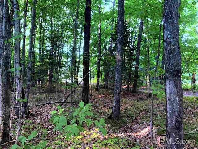TBD Eek Road, Gwinn, MI 49841