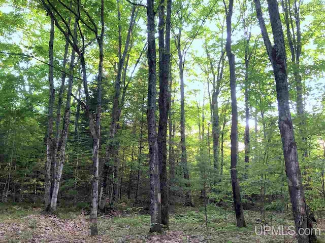 TBD Eek Road, Gwinn, MI 49841