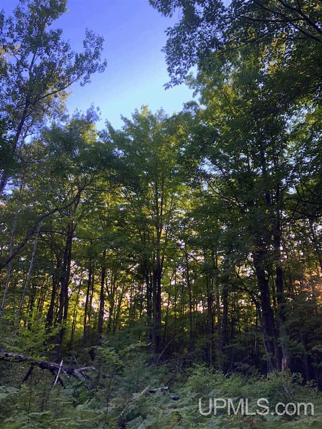 TBD Eek Road, Gwinn, MI 49841