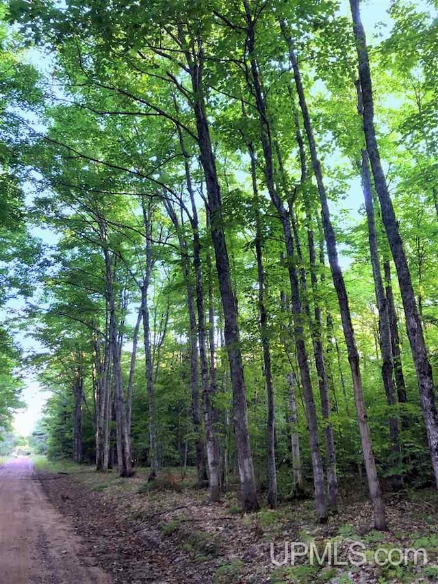 TBD Eek Road, Gwinn, MI 49841