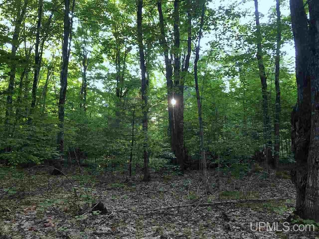 TBD Eek Road, Gwinn, MI 49841