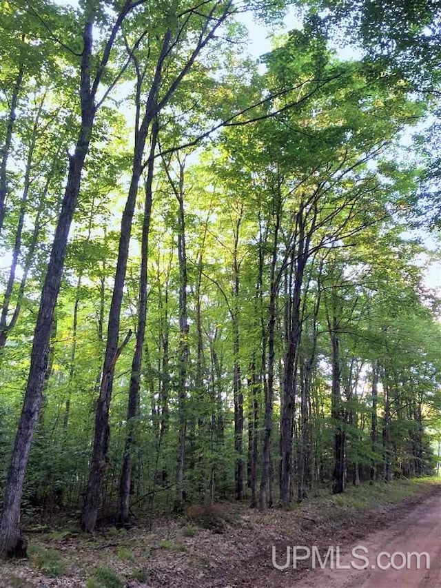 TBD Eek Road, Gwinn, MI 49841