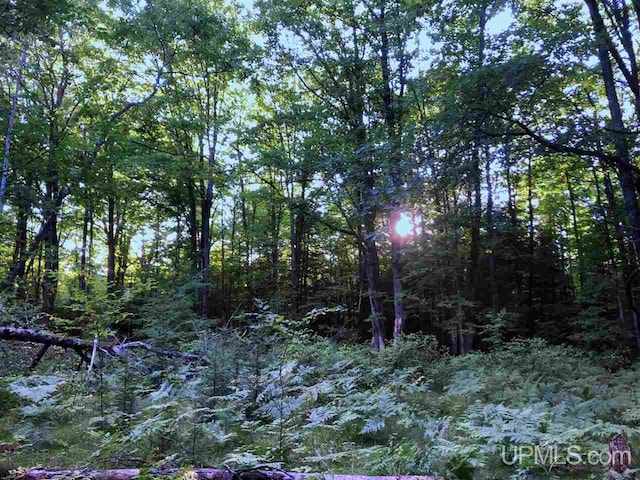 TBD Eek Road, Gwinn, MI 49841