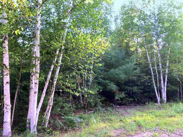 TBD Eek Road, Gwinn, MI 49841