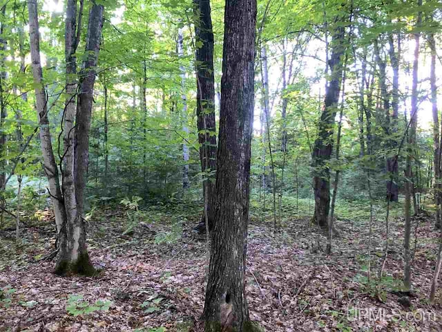 TBD Eek Road, Gwinn, MI 49841