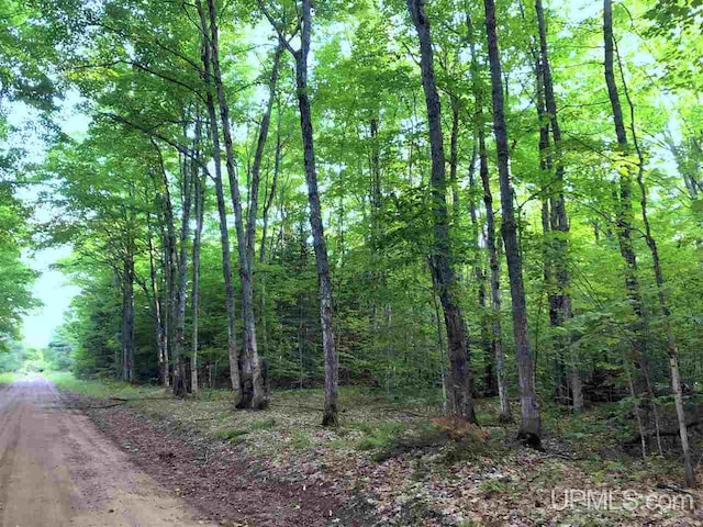TBD Eek Road, Gwinn, MI 49841