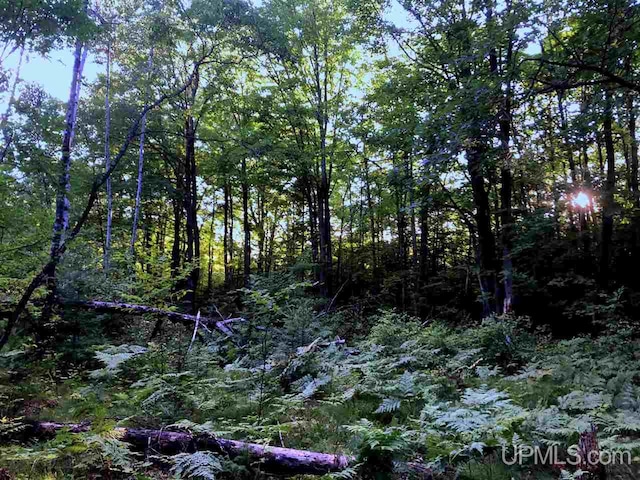 TBD Eek Road, Gwinn, MI 49841