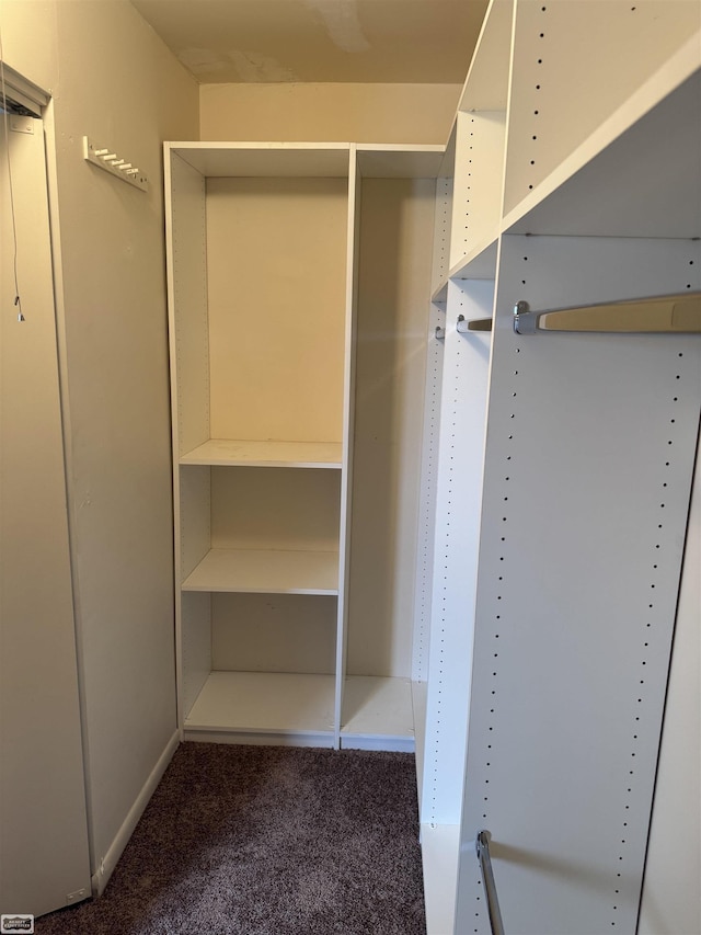 5000 Town Ctr Unit 801, Southfield, MI 48075 - spacious closet featuring carpet