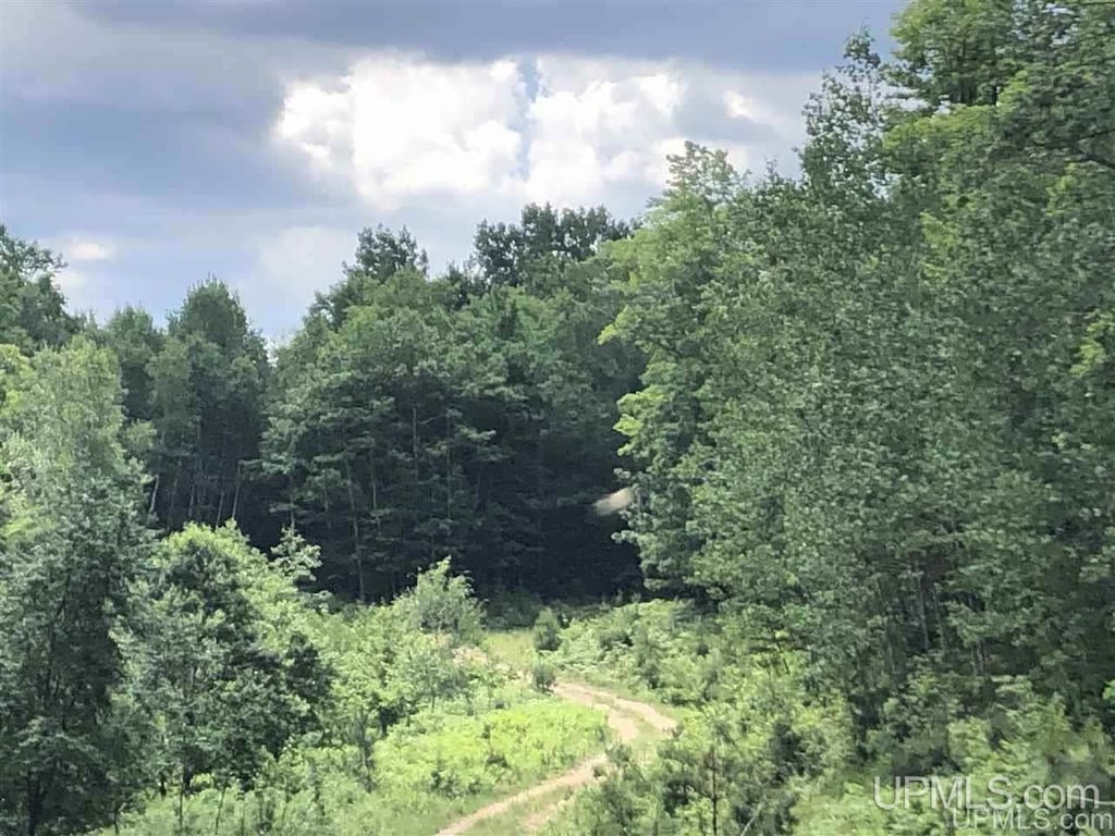 LotJ Maple Wood Lane, Gwinn, MI 49841