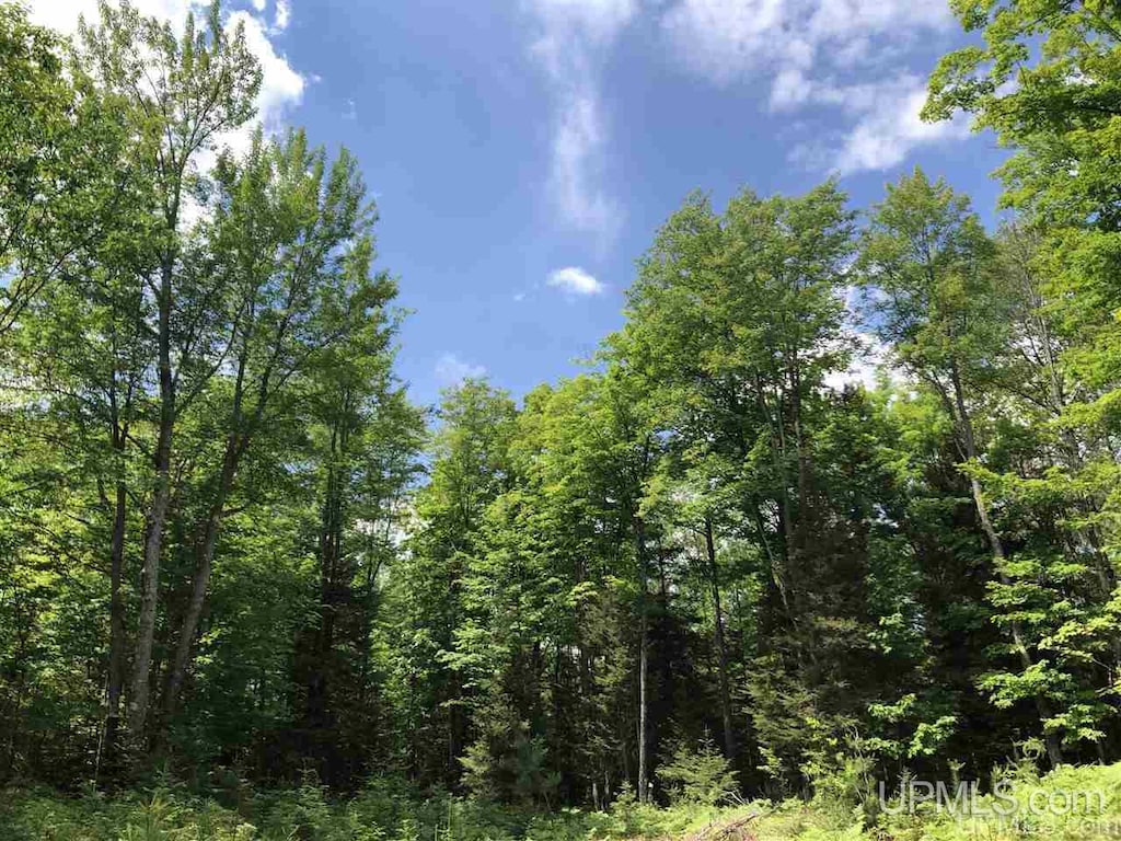 LotJ Maple Wood Lane, Gwinn, MI 49841