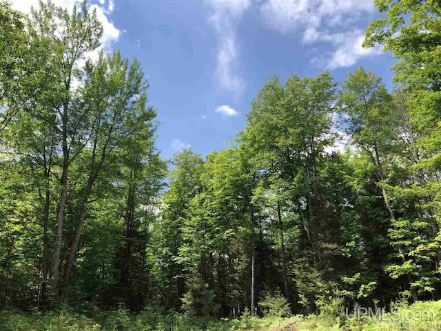 LotJ Maple Wood Lane, Gwinn, MI 49841