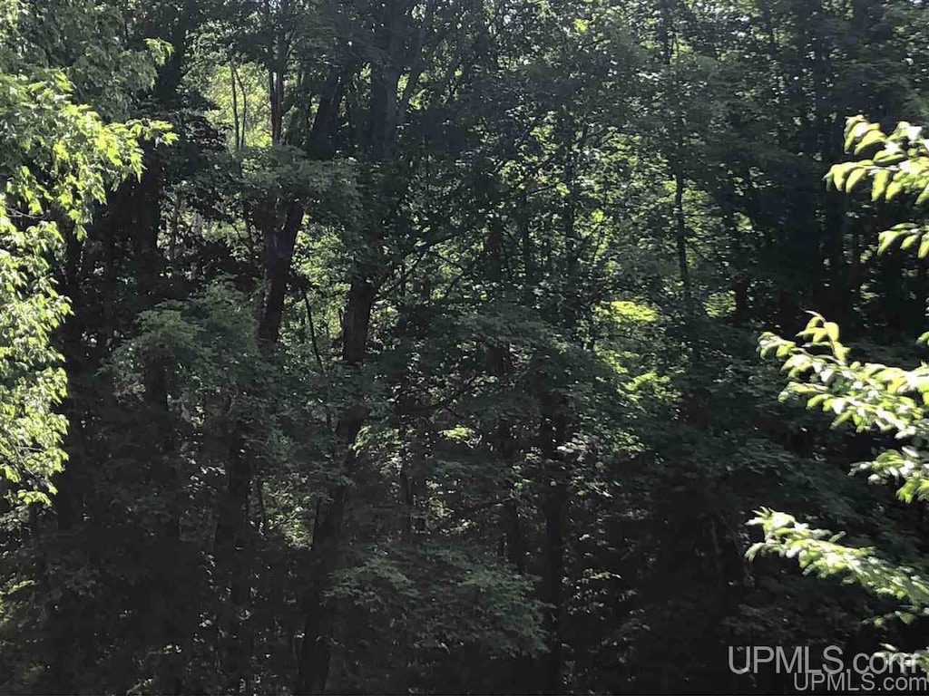 LotJ Maple Wood Lane, Gwinn, MI 49841