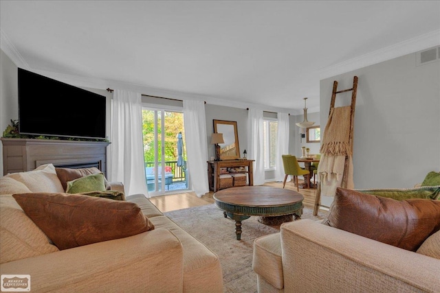 4916 Royal Cove Dr, Shelby Twp, MI 48316 - living area featuring ornamental molding, plenty of natural light, a fireplace, and light wood finished floors