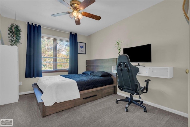 4916 Royal Cove Dr, Shelby Twp, MI 48316 - carpeted bedroom with baseboards and a ceiling fan