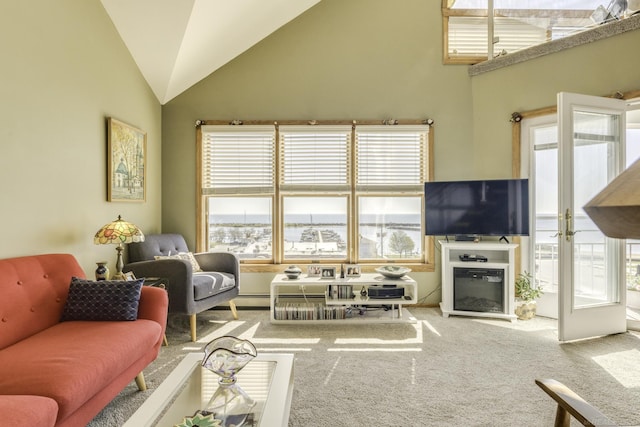 7346 Huron Ave Unit 302 Building B, Lexington, MI 48450 - living room with carpet, healthy amount of natural light, and lofted ceiling