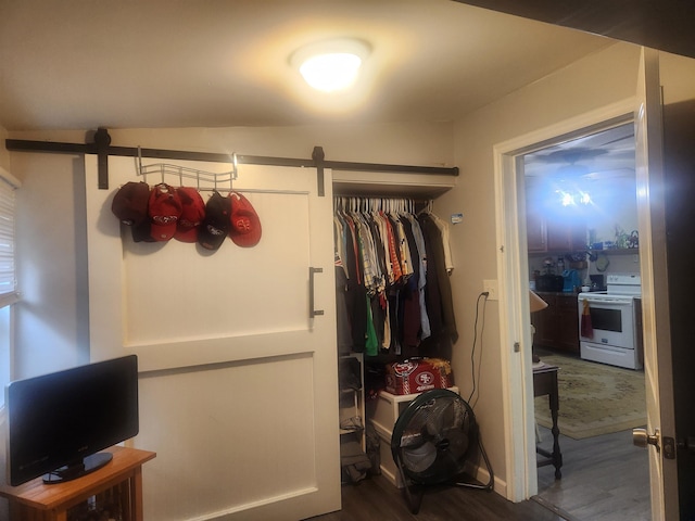 6130 Beech Dr, Lake, MI 48632 - spacious closet featuring a barn door and dark wood-style floors
