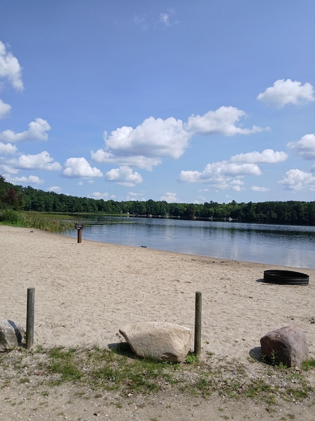 6130 Beech Dr, Lake, MI 48632 - water view featuring a heavily wooded area