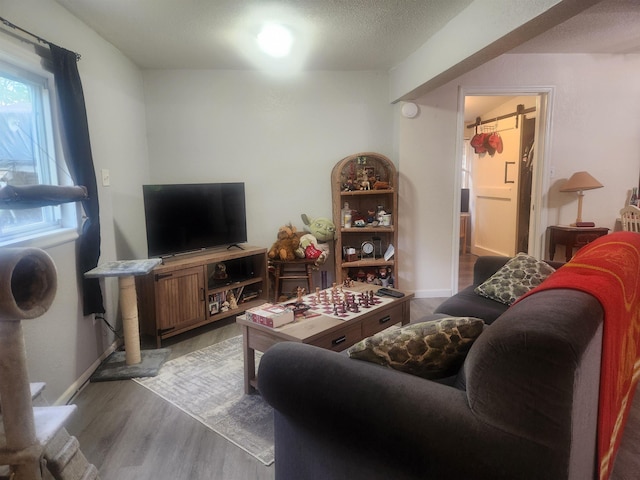 6130 Beech Dr, Lake, MI 48632 - living room featuring wood finished floors and baseboards