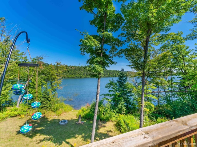 217 Shoreline Dr, Negaunee, MI 49866 - water view featuring a heavily wooded area