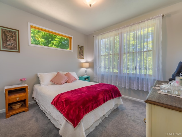 217 Shoreline Dr, Negaunee, MI 49866 - carpeted bedroom with multiple windows and baseboards