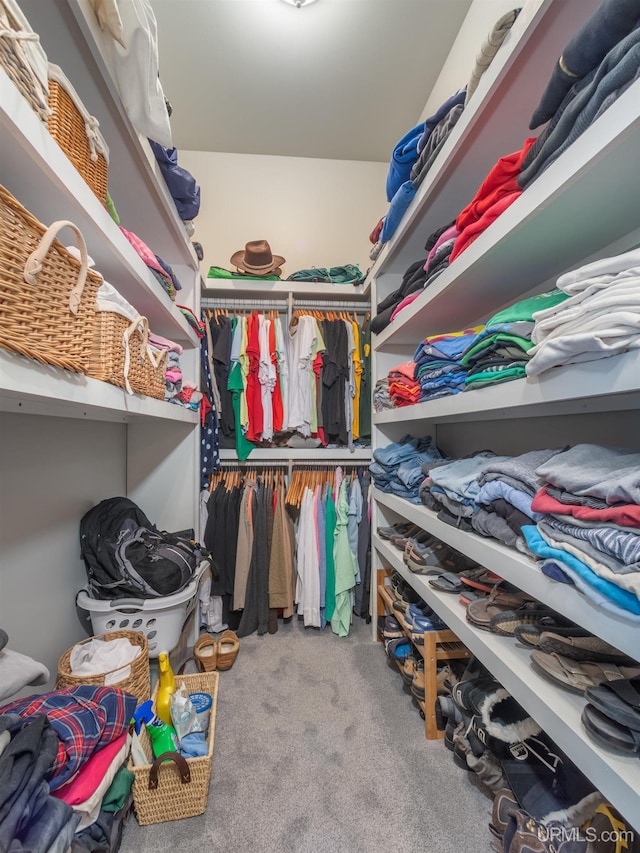 217 Shoreline Dr, Negaunee, MI 49866 - spacious closet with carpet floors