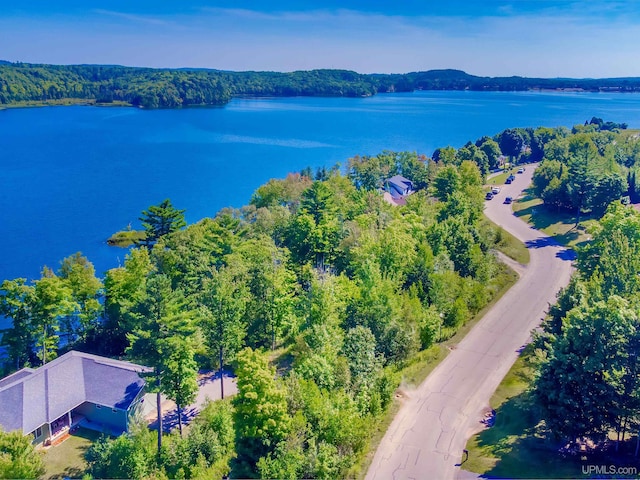 217 Shoreline Dr, Negaunee, MI 49866 - drone / aerial view of a nearby body of water and a forest