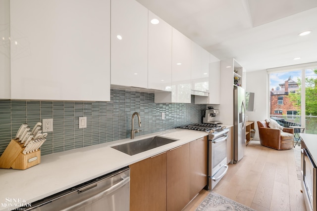 2638 John R St, Detroit, MI 48201 - kitchen with stainless steel appliances, modern cabinets, a sink, and light wood-style floors