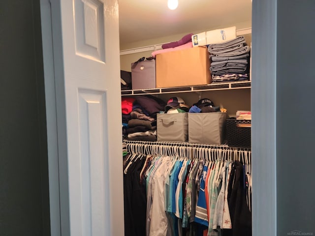 24725 Orchid St, Harrison Twp, MI 48045 - view of closet