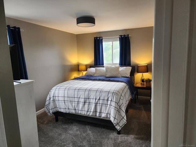 24725 Orchid St, Harrison Twp, MI 48045 - view of carpeted bedroom