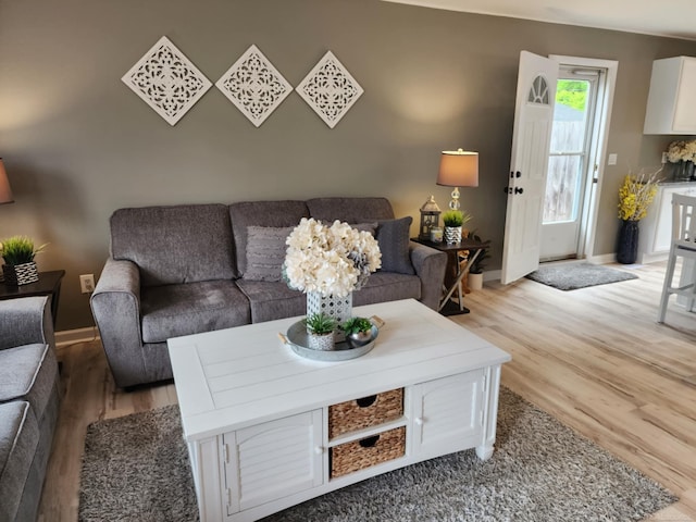24725 Orchid St, Harrison Twp, MI 48045 - living area featuring light wood finished floors and baseboards