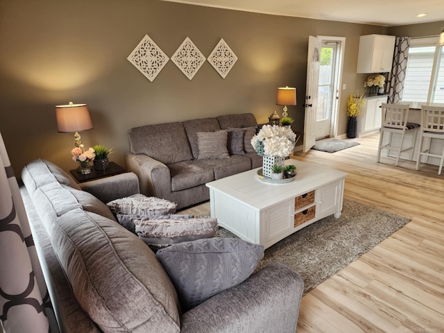 24725 Orchid St, Harrison Twp, MI 48045 - living area with light wood-style flooring