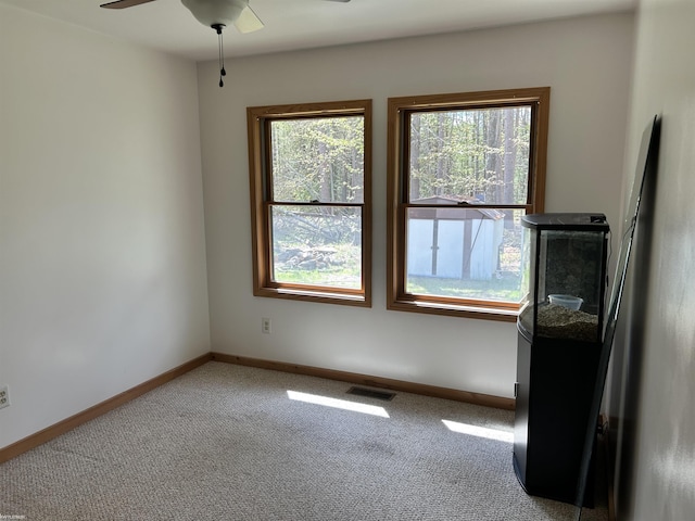 5077 Henry Hwy, Lewiston, MI 49756 - carpeted empty room with ceiling fan and baseboards
