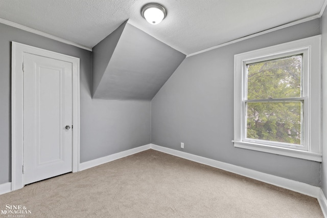 5553 Nottingham Rd, Detroit, MI 48224 - bonus room featuring carpet flooring, baseboards, lofted ceiling, and a textured ceiling