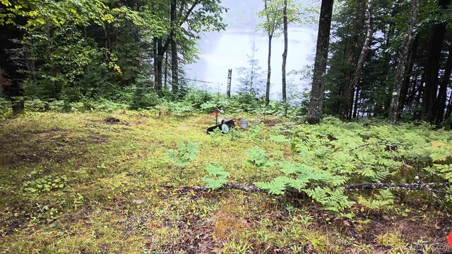 113 Paint Lake Loop, Iron River, MI 49935 - view of undeveloped land