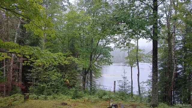 113 Paint Lake Loop, Iron River, MI 49935 - water view with a heavily wooded area