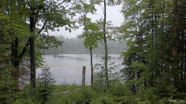 113 Paint Lake Loop, Iron River, MI 49935 - water view with a forest