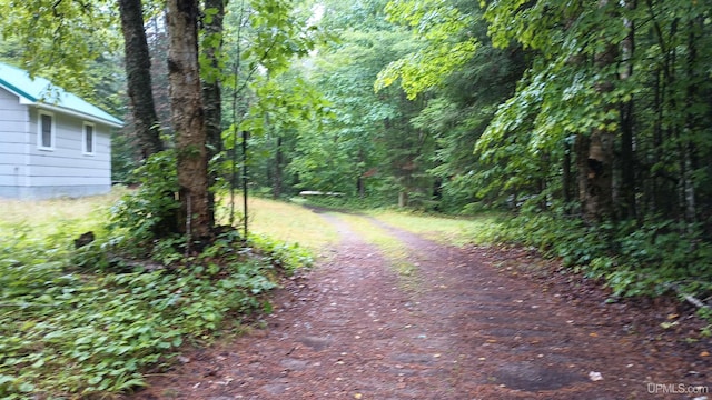 113 Paint Lake Loop, Iron River, MI 49935 - view of street featuring a forest view