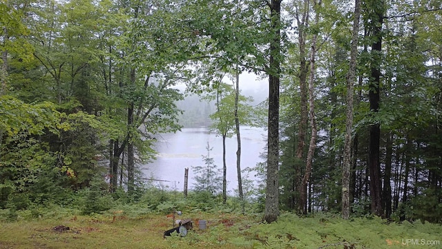113 Paint Lake Loop, Iron River, MI 49935 - water view featuring a heavily wooded area
