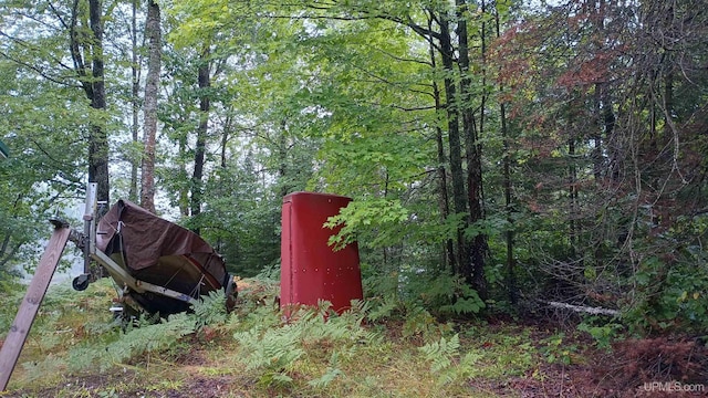 113 Paint Lake Loop, Iron River, MI 49935 - exterior view of a forest