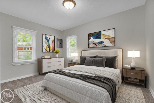 1011 Garfield St, Port Huron, MI 48060 - carpeted bedroom with baseboards