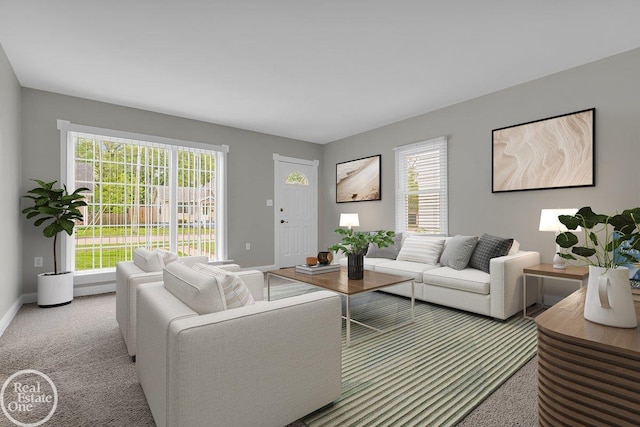 1011 Garfield St, Port Huron, MI 48060 - carpeted living room with plenty of natural light and baseboards