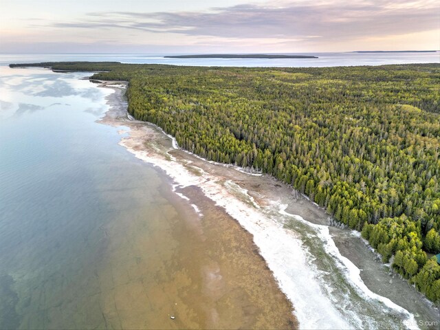 14520 7th Rd, Garden, MI 49835 - aerial view of unending shoreline and a forest