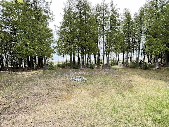 14520 7th Rd, Garden, MI 49835 - view of yard