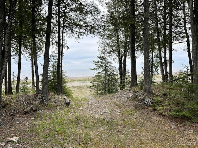 14520 7th Rd, Garden, MI 49835 - view of undeveloped land