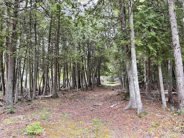 14520 7th Rd, Garden, MI 49835 - view of wooded area