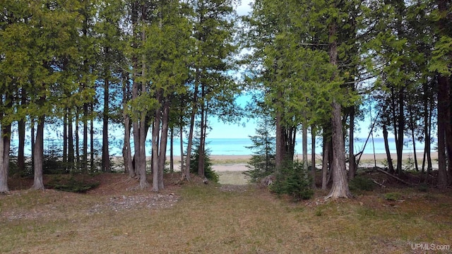 14520 7th Rd, Garden, MI 49835 - view of local wilderness featuring a nearby body of water