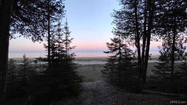 14520 7th Rd, Garden, MI 49835 - view of undeveloped land with a large body of water