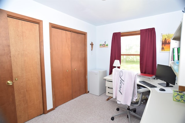 3850 Mando Ct, Coleman, MI 48611 - office featuring light colored carpet